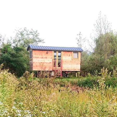 Casetta Sul Lago Albairate Eksteriør billede